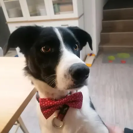 Cap Bonheur Гостевой дом 3*