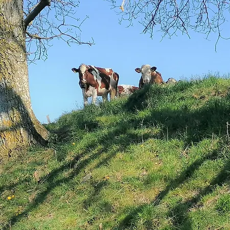Гостевой дом Cap Bonheur