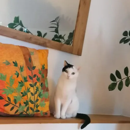 Cap Bonheur Гостевой дом