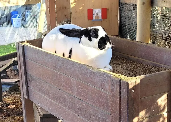 Cap Bonheur Affittacamere Saint-Cierges