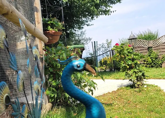 Cap Bonheur Гостевой дом 3*