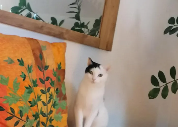 Cap Bonheur Гостевой дом