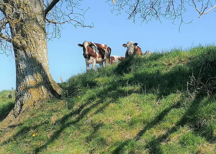 Konukevi Cap Bonheur